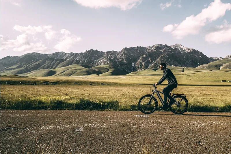 Riese and Muller Charger GT Silent Electric Bike Pearl White-1